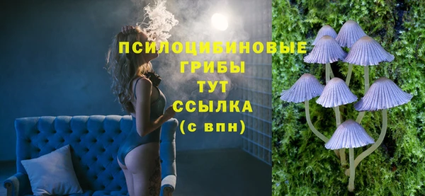 ГАЛЛЮЦИНОГЕННЫЕ ГРИБЫ Абинск