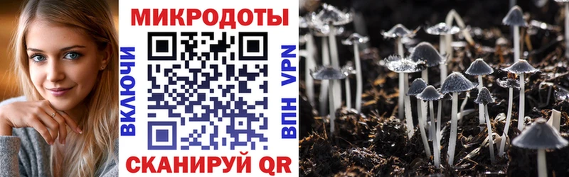 Галлюциногенные грибы GOLDEN TEACHER  Абинск 